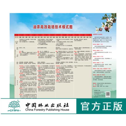 油茶高效栽培技术模式图 9413 生长发育规律 栽培目标与技术 主要病虫草害防治 油茶树的6个生长阶段 挂图 中国林业出版社 商品图0