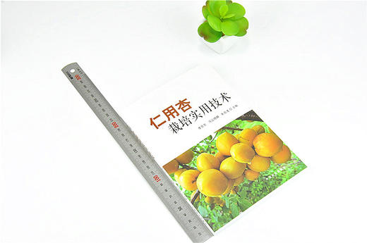 仁用杏栽培实用技术 9834 建园技术 繁殖 栽培管理 采收 贮藏 加工技术 中国林业出版社 畅销书 商品图1