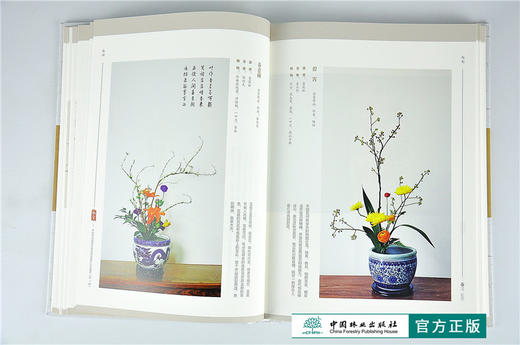 瓶赏 中国传统插花非物质文化遗产创作集萃1辑 9352 东方撒艺传统插花技艺盘花碗花缸花筒花瓶花蓝花中国林业出版社官方旗舰店正版 商品图3