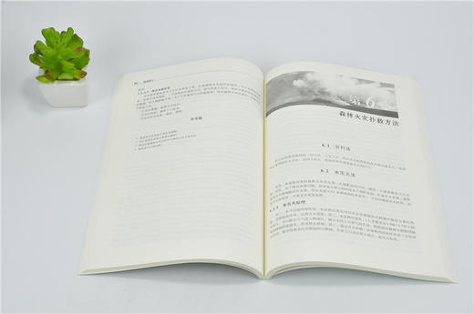 森林防火 刘发林 9727 国家林业和草原局普通高等教育十三五规划教材 中国林业出版社 畅销书籍 商品图3