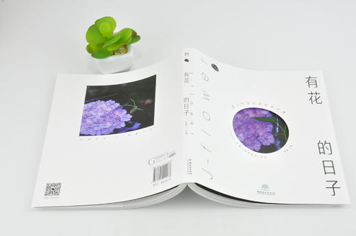 有花的日子 超人气日式花艺设计课 0008 陈暖 花园时光 伴暖文化 剪红载绿花艺设计别样捧花四季花配基本技法中国林业出版社畅销书 商品图4