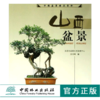 山西盆景 中国盆景精品赏析 4177 中国林业出版社 商品缩略图0