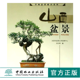山西盆景 中国盆景精品赏析 4177 中国林业出版社