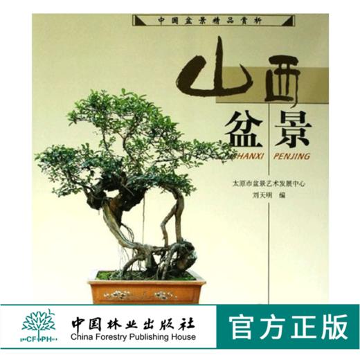 山西盆景 中国盆景精品赏析 4177 中国林业出版社 商品图0