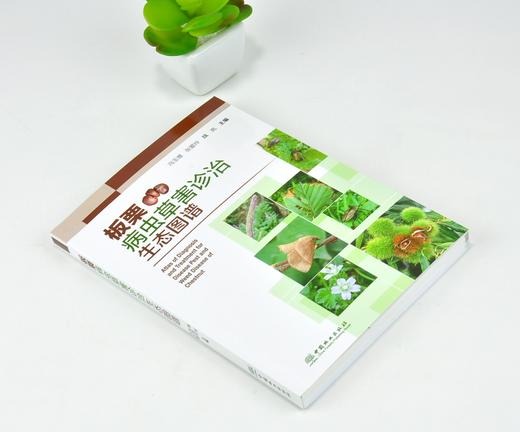 板栗病虫草害诊治生态图谱 0223 冯玉增 张爱玲 魏岚 板栗病害虫害诊断与防治 果园主要杂草识别与防治 工具书 中国林业出版社 商品图1