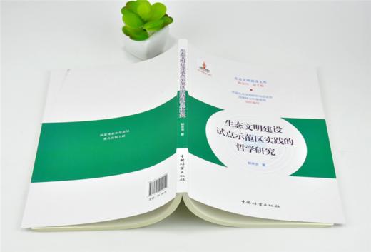生态文明建设试点示范区实践的哲学研究 0205 陈宗兴 生态文明建设文库 中国林业出版社 商品图4