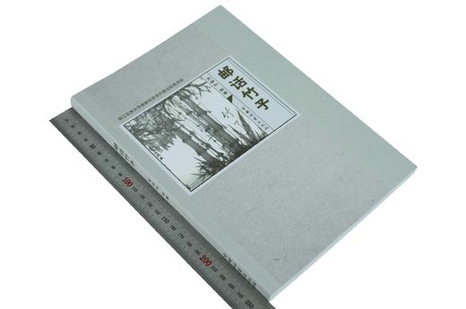 邮话竹子 8885 浙江农林大学森林培育学科建设经费资助 竹林资源 中国林业出版社 畅销书 商品图1