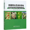 新疆奇台荒漠类草地自然保护区植物图鉴 锡文林//阎平//张云玲 0834 中国林业出版社 商品缩略图4