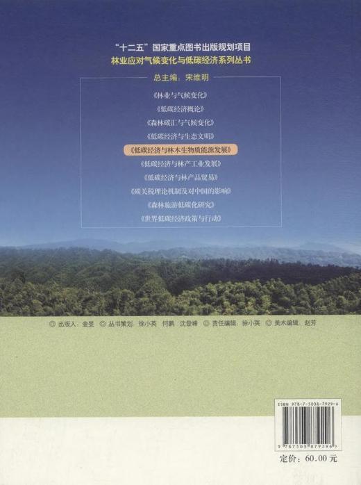 低碳经济与林木生物质能源发展 中国林业出版社7929  科技 商品图3