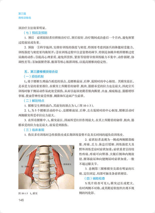 脊柱训练伤 脊柱的临床检查解剖等知识 脊柱训练伤 脊柱训练伤预防与康复 外科学书籍 林斌 等编9787117329989人民卫生出版社 商品图4