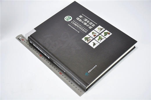 第二届中国杯盆景大赛专辑 8853 石景盆栽制作赏析中国林业出版社官方旗舰店正版畅销书 商品图1