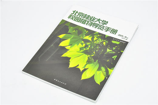 北京林业大学校园植物导览手册 8426 科技 中国林业出版社 畅销书 商品图2