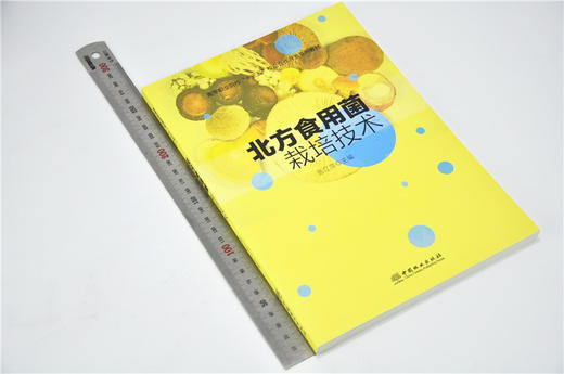 北方食用菌栽培技术 9680 高等职业院校十三五校企合作开发系列教材 中国林业出版社 畅销书 商品图1