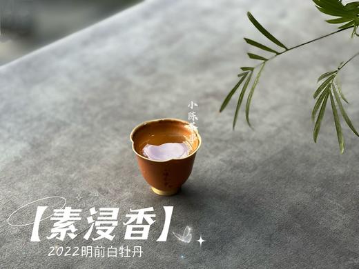 2022明前白牡丹《素浸香》，隐藏于清明白牡丹光环之下的璀璨明珠（100克） 商品图10