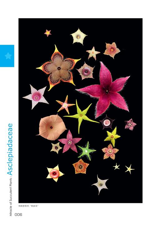 多肉植物之萝藦奇葩 赵达   第二次印刷 9376  养花书籍 多肉书籍 中国林业出版社 商品图2