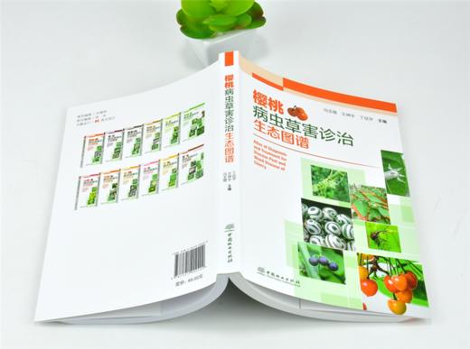 樱桃病虫草害诊治生态图谱 0240 冯玉增 王坤宇 丁征宇 樱桃病害虫害诊断与防治 果园主要杂草诊断与防治 工具书 中国林业出版社 商品图4