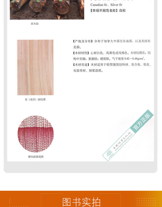 世界名贵木材鉴别图鉴 潘彪 蒋劲东方崇荣 9958 国林业出版社 商品图1