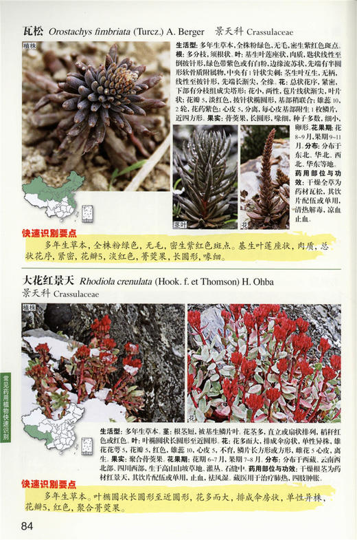 常见药用植物快速识别 9318 植物快速识别丛书 中国林业出版社 商品图2
