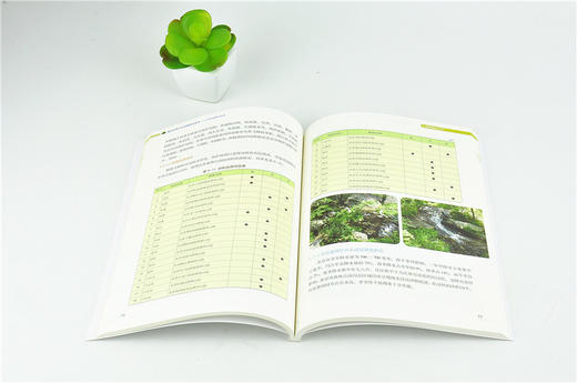 森林疗养产业发展规划实务 北京的探索与实践 0014 中国林业出版社 商品图3