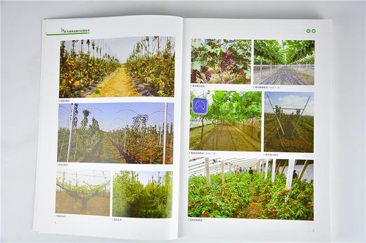 河北平原林业集约经营技术 毕君 9573 基层林业干部培训教材 中国林业出版社 畅销书 商品图4