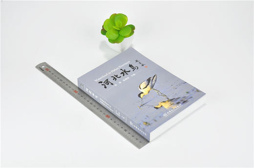 河北水鸟 9540 科普读物 中国林业出版社 商品图1