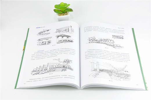 景观设计手绘方法论 9967 高等院校设计*业指导用书 设计师讲述 十年手绘经验 千幅景观手绘图 中国林业出版社 畅销书 商品图3