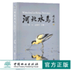 河北水鸟 9540 科普读物 中国林业出版社 商品缩略图0