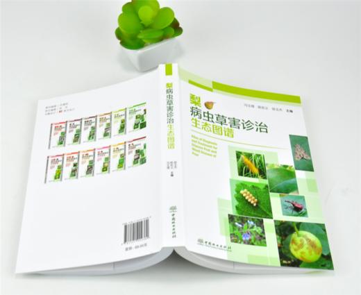 梨病虫草害诊治生态图谱 0238 冯玉增 陈宏义 徐玉杰 梨病害虫害诊断与防治 果园主要杂草识别与防治 果园工具书 中国林业出版社 商品图4