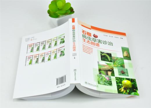 石榴病虫草害诊治生态图谱 0236 冯玉增 李玉英 邓旭先 石榴病害虫害诊断与防治 果园主要杂草识别与防治 工具书 中国林业出版社 商品图4