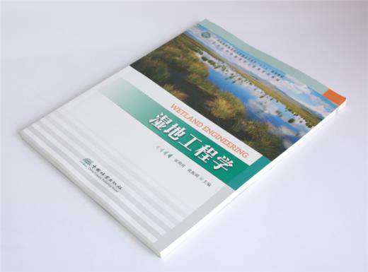 湿地工程学 张明祥 张振明主编0347国家林业和草原局普通高等教育十三五规划教材 全国自然资源保护与管理系列教材 中国林业出版社 商品图2