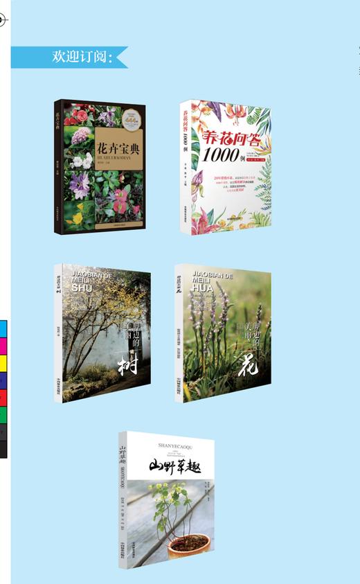 那些相似的花儿(160种花卉的辨识养护) 慧眼识花书籍 分得清才能养得好告别花盲名相近的形相似的辨识 兑宝峰 0816 中国林业出版社 商品图2