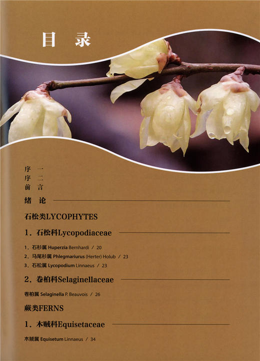 神农架植物志 一卷9458湖北神农架植物资源多样性生态分布分类种类品种大全研究书籍中国林业出版社官方旗舰店正版畅销书 商品图1