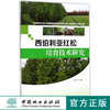 西伯利亚红松培育技术研究  9160中国林业出版社畅销书 商品缩略图0
