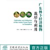 广东林下经济植物栽培与利用  0541 中国林业出版社 商品缩略图1