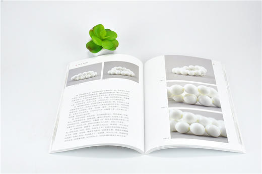 串珠 行家带你选 9884 姚江波 段时代 辨真伪 评价值 为收藏 中国林业出版社 正版畅销书 商品图3