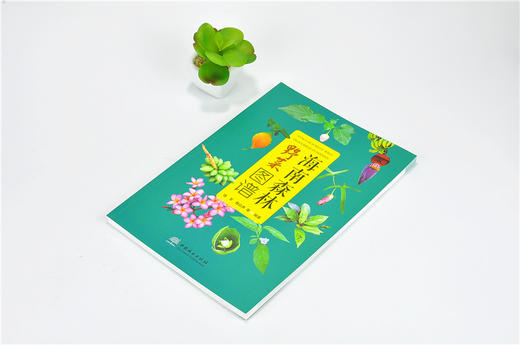 海南森林野菜图谱 9780  拉丁学名 别名 分布 采摘时间 形态特征 药用价值 营养价值食用部位 食用方法 中国林业出版社 商品图2