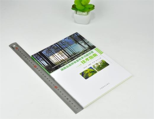 湖南省森林恢复和多功能经营技术指南 0132 陆元昌 邓鹰鸿 国红 刘瑾 著 中国林业出版社 商品图1