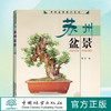 苏州盆景 4034 邵忠编 盆景造型特点和艺术手法 苏州树桩盆景制作 苏州盆景赏析 盆景艺术 中国林业出版社 盆景书籍 商品缩略图4