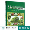 青岛主要绿化树种图谱(精)   8127  科技 中国林业出版社 商品缩略图0