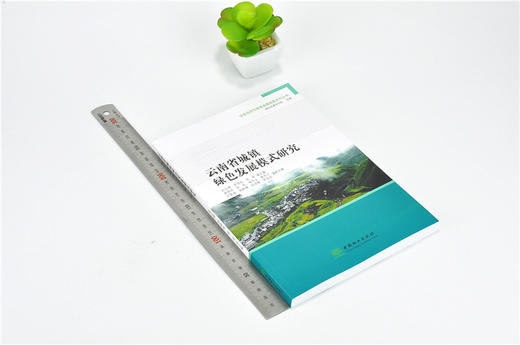 云南省城镇绿色发展模式研究 9919 绿色经济与绿色发展经典系列丛书 中国林业出版社 正版畅销书 商品图1