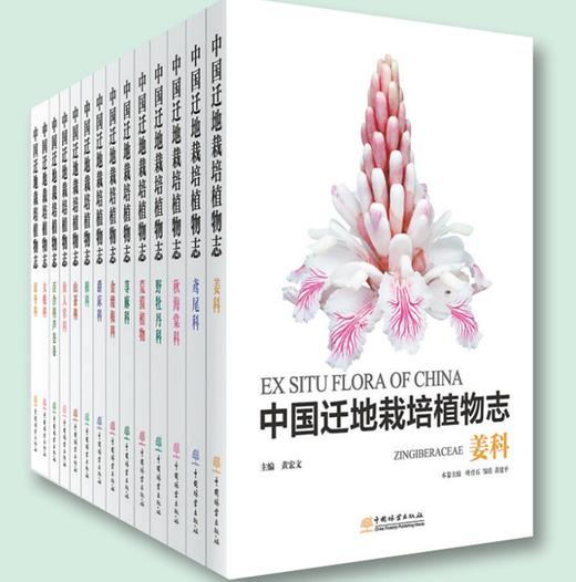 中国迁地栽培植物志 14本百合科芦荟属忍冬科荨麻科鸢尾科山茶科仙人掌科爵床科荒漠植物  樟科 大戟科 姜科 野牡丹科 秋海棠科 商品图4