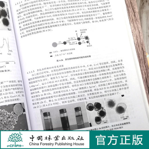 纳米材料与功能型木材 郑荣波 郭雪莲 0653 中国林业出版社 商品图3