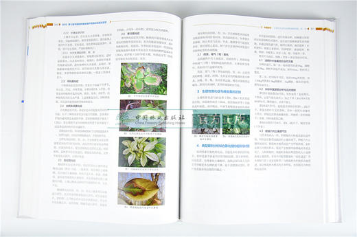 中国园林植物保护高端论坛报告荟萃2009-2018 赵美琦 张伟兴 主编 9716 中国林业出版社 畅销书籍 商品图3