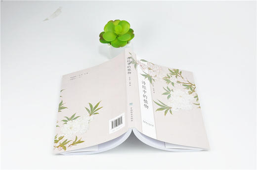 诗经中的植物 9908 中国林业出版社 畅销书 商品图3