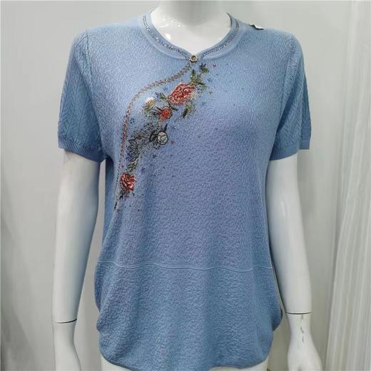 诗魅丝替9053（4） 商品图0