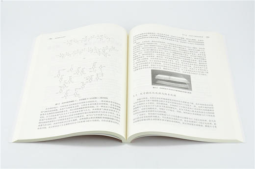 木材保护与改性 9687 曹金珍 编 普通高等教育十三五规划教材 高等院校木材科学与工程专业规划教材 中国林业出版社 畅销书 商品图3