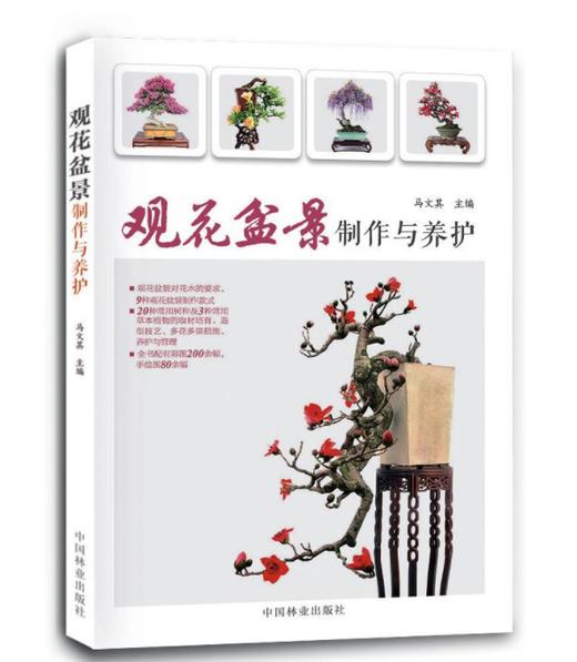 套装 观花盆景制作与养护8533+观果盆景制作与养护8534  2本一套 盆景制作 造型技艺 取材培育 中国林业出版社 畅销书 商品图2