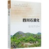 四川石漠化 朱子政 0672 中国林业出版社 商品缩略图3