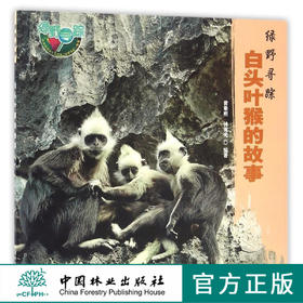 白头叶猴的故事 绿野寻踪 8583生活环境繁衍后代中国林业出版社官方自营店正版畅销书