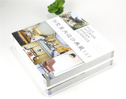 别墅室内设计典藏 上下册 9909 中式风韵都市简约原木生活欧美格调异域风情自由混搭 室内装饰装修设计书案例赏析 中国林业出版社 商品图2